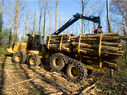 Earthmoving/Forestry